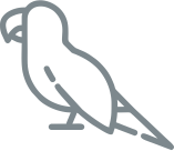 Zoo preces